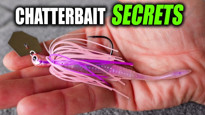 This Chatterbait Setup Is Quietly DOMINATING Local&nbsp;Tournaments